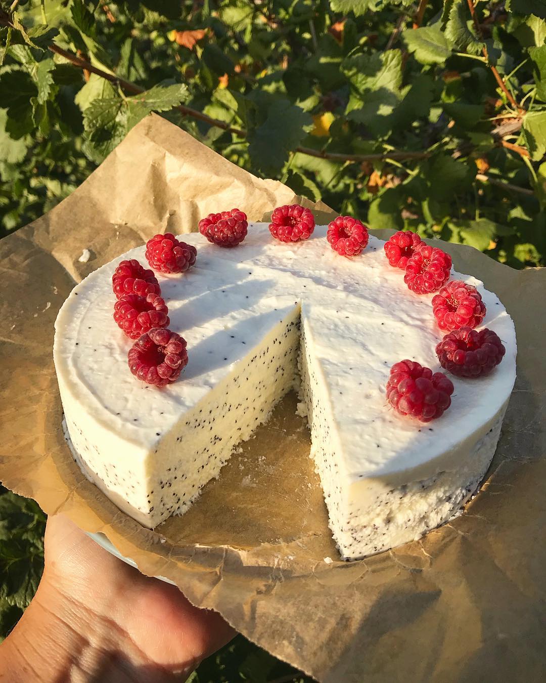 So lecker, dass Kinder und Erwachsene es mit Freude essen! Ein leichter, luftiger Mohnkäsekuchen im Handumdrehen!