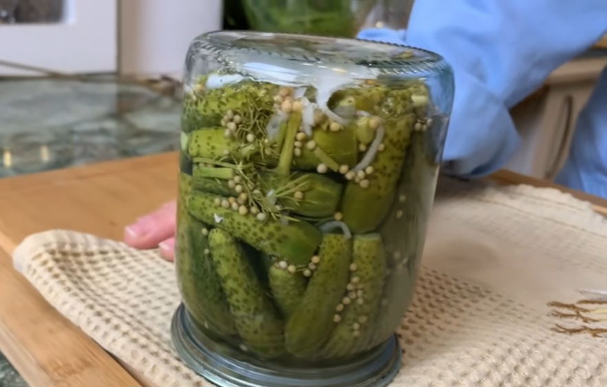 Das Geheimnis der gekauften Gurken enthüllt! Ich zeige, wie man perfekte Cornichons einlegt, nach denen alle fragen werden!